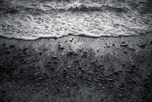 Morning Tide (black & white) by Emily Kent