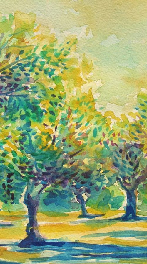 Breeze in olive orchard III by Maja Grecic
