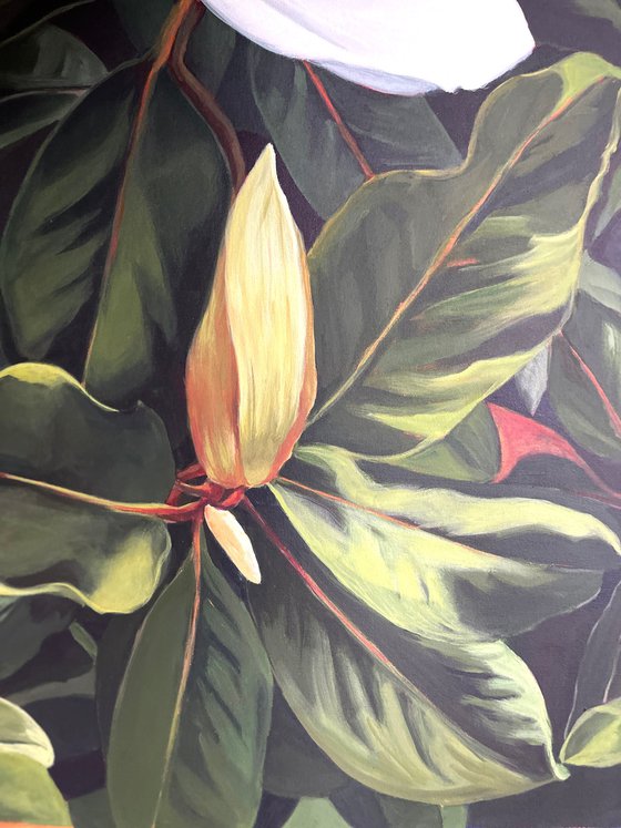 Magnolia 4