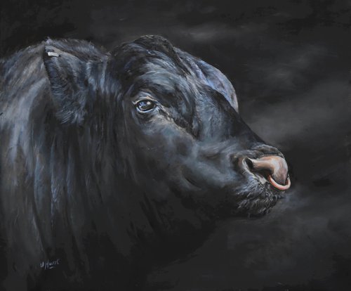 Aberdeen Angus bull3 by Una Hurst