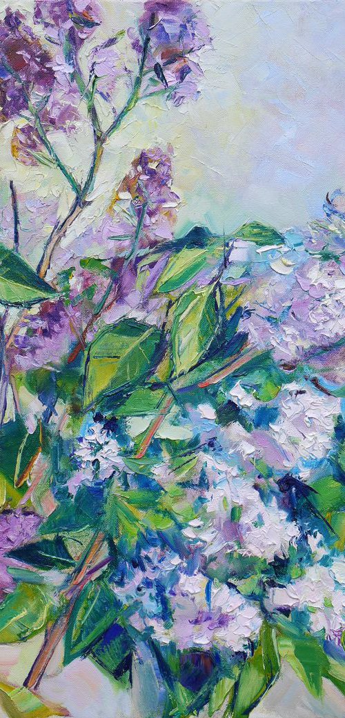 The branches of lilac by Dima Braga
