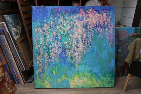 Wisteria
