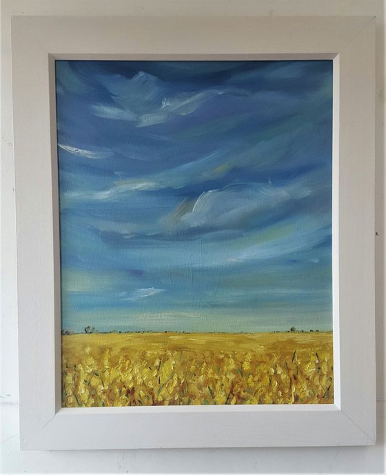Golden fields and Blue skies - summer delight