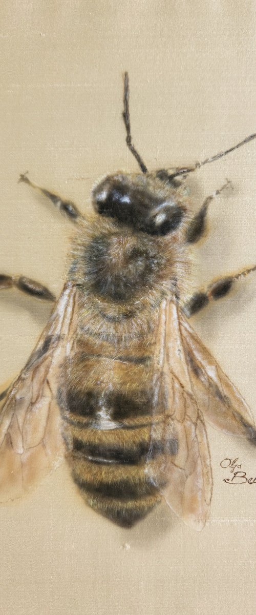 Silky Bee by Olga Belova