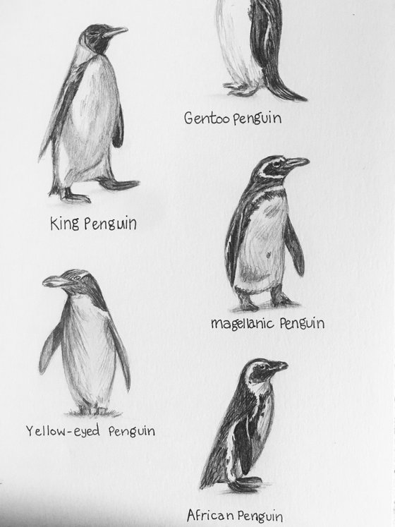 “Penguins”