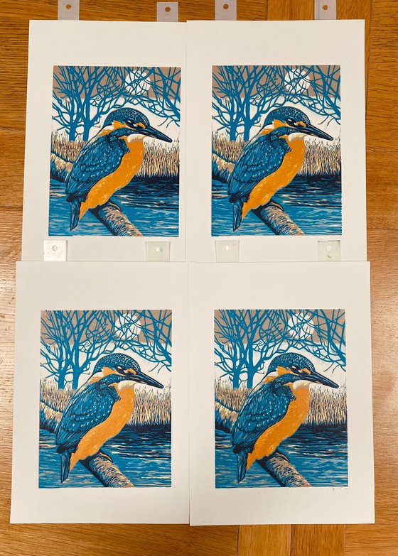 Kingfisher II