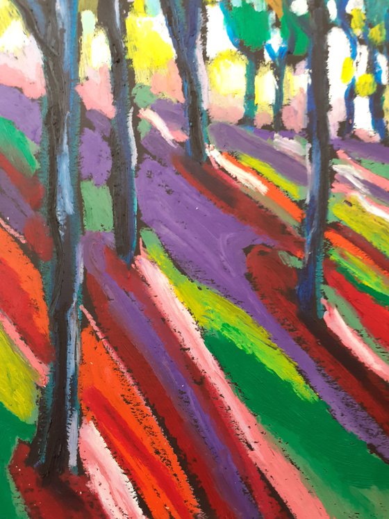 Colourful forest shadows