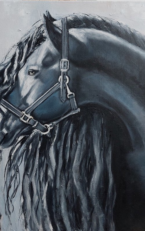 Black Horse by Ira Whittaker