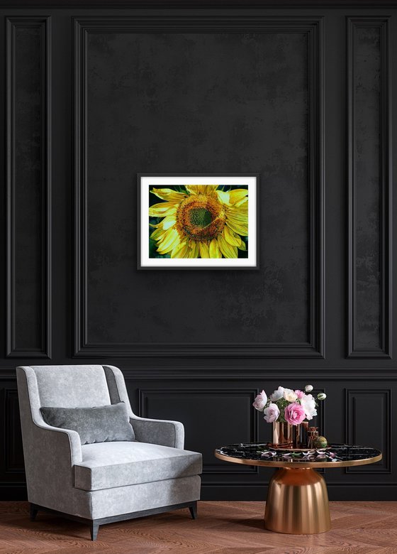 Original Sunflower Painting, Sunbeam on a Sunflower, Floral Wall Art