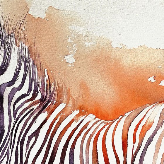 Red Dust_Zebra Portrait