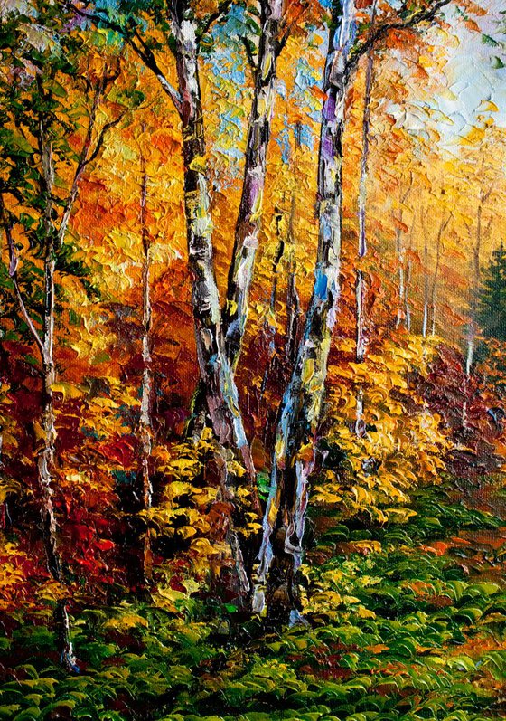 Birches in the autumn forest