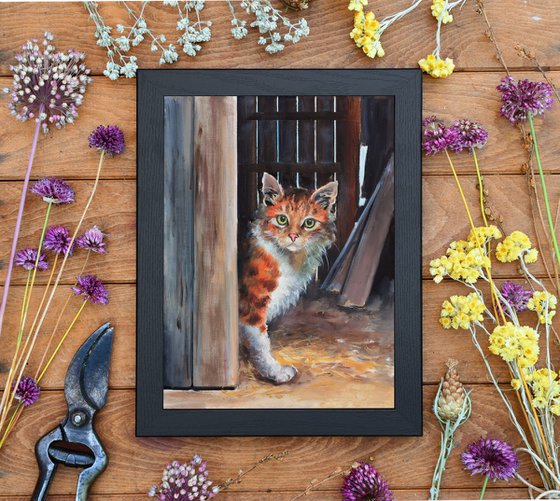 Tabby orange cat in a barn