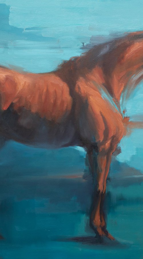 Equus Arabicus I by Zil Hoque
