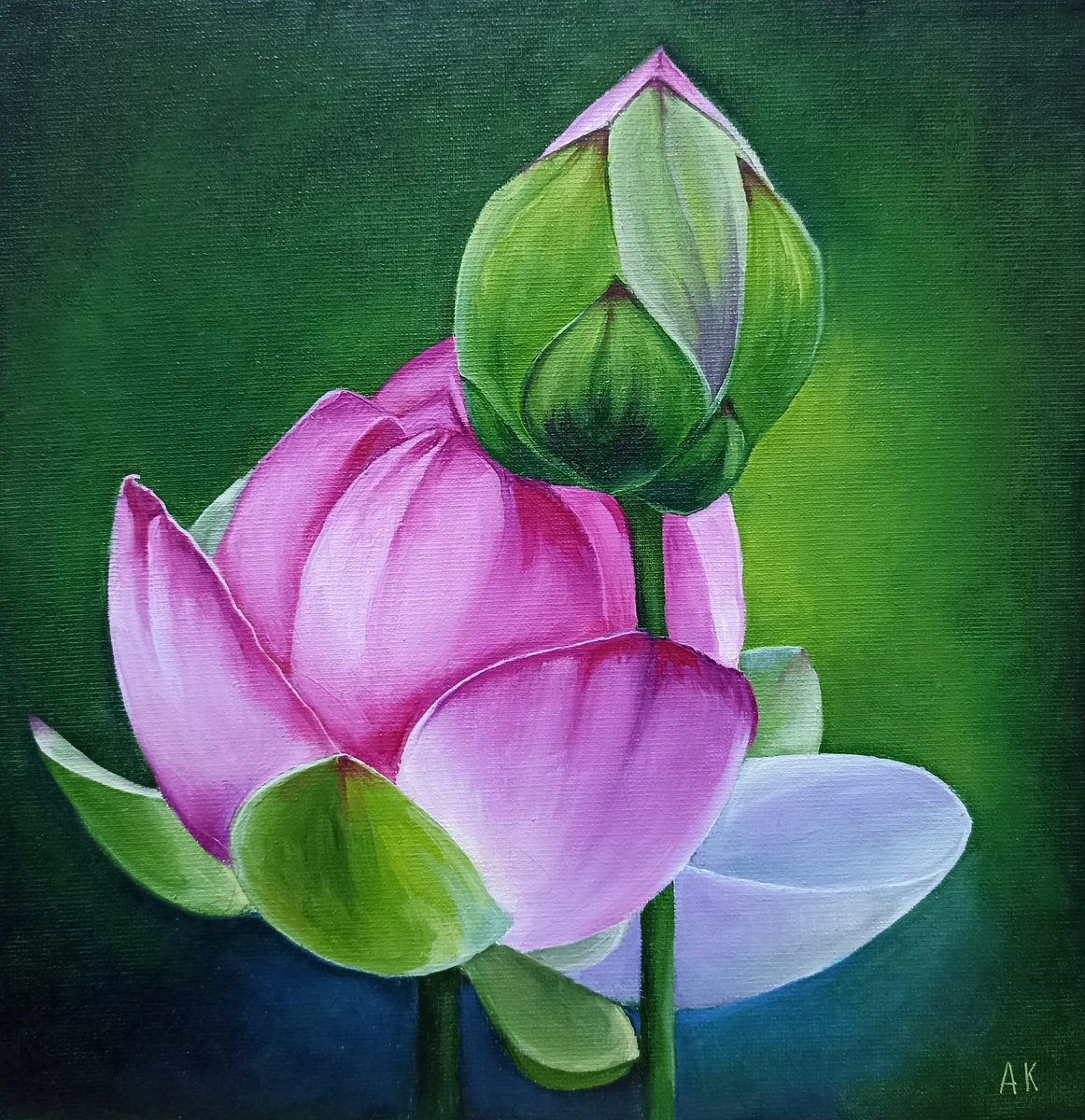 Photorealistic Botanical Oil Painting By Alfia Koral, 10 X 10, Pink Lotuses, Original Artwork