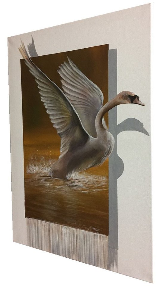 3D Swan.