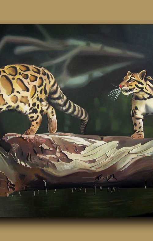 Clouded leopards by Valeri Tsvetkov