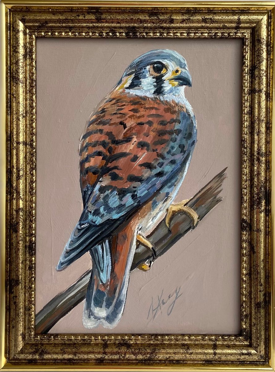 Bird Oil Painting American Kestrel framed 16x20cm 6x8inch by Leysan Khasanova