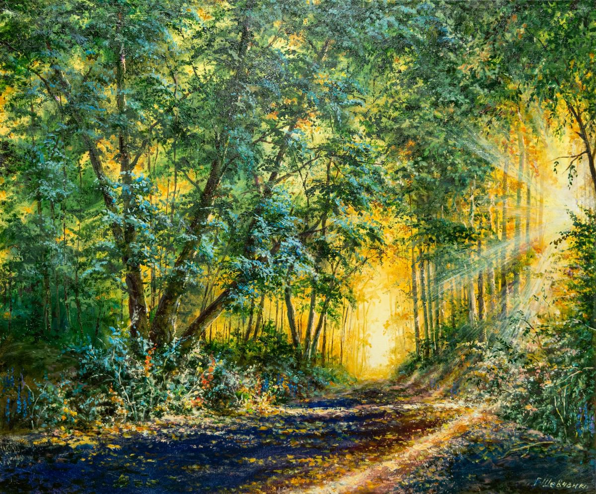 Impressionistic Landscape Oil Painting By Galyna Shevchencko, 24 X 20, Sunrise, Original Artwork