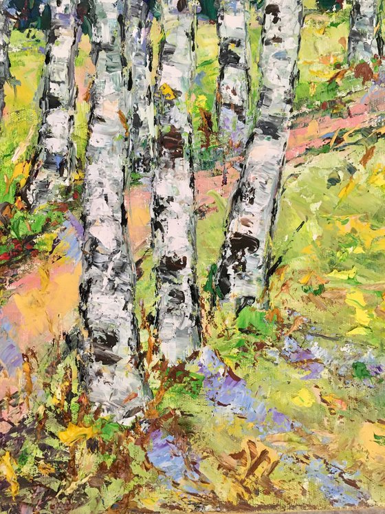 Birch trees path