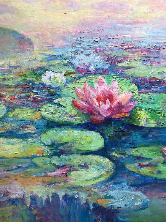 Water lilies.