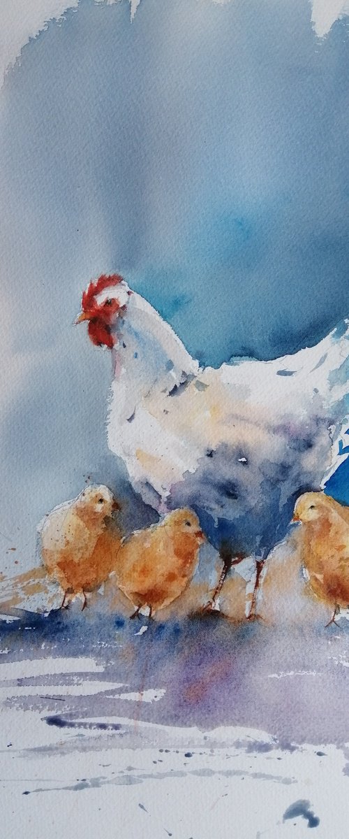 hen and chicks by Giorgio Gosti