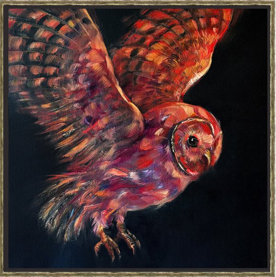 Knight of Night_owl