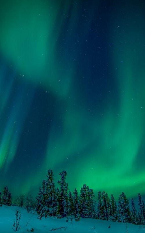 Northern Aurora 2 by Dan Twitchell, OPA, AIS