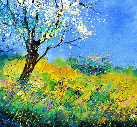 Spring in my countryside - 8624