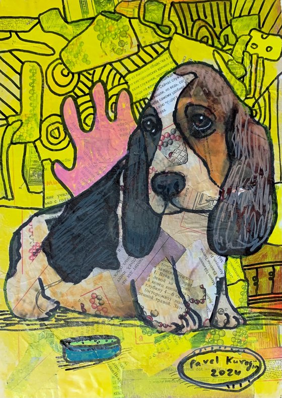 Basset hound