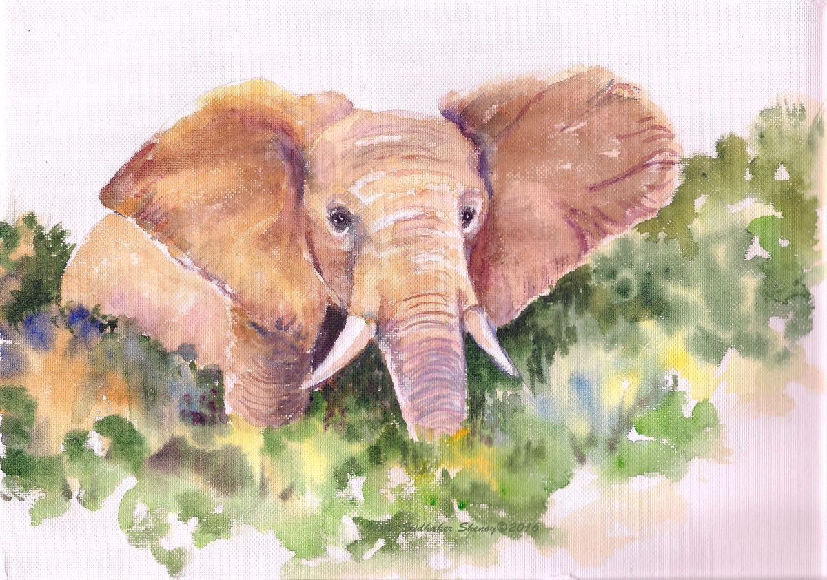 Impressionistic Watercolour , The King Elephant By Asha Shenoy, 12 X 8, Artwork For Sale On Artfinder