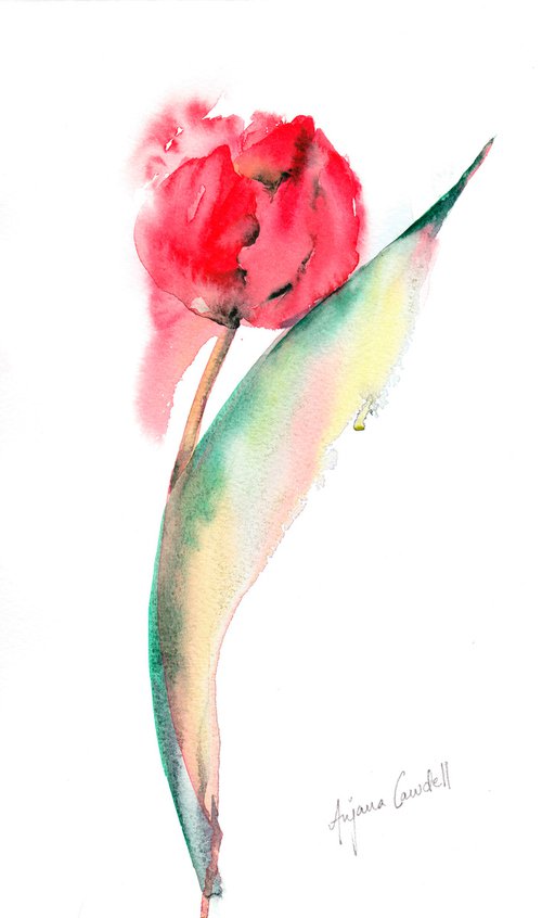 Tulip painting, minimalist painting, floral art, red flower, simple, contemporary art, watercolour, watercolor, loose painting by Anjana Cawdell