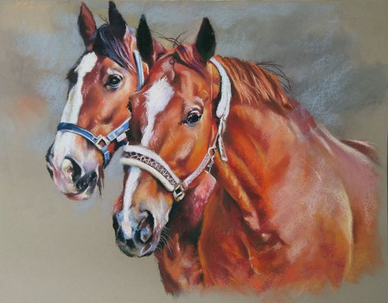 A series of horse portraits; red
