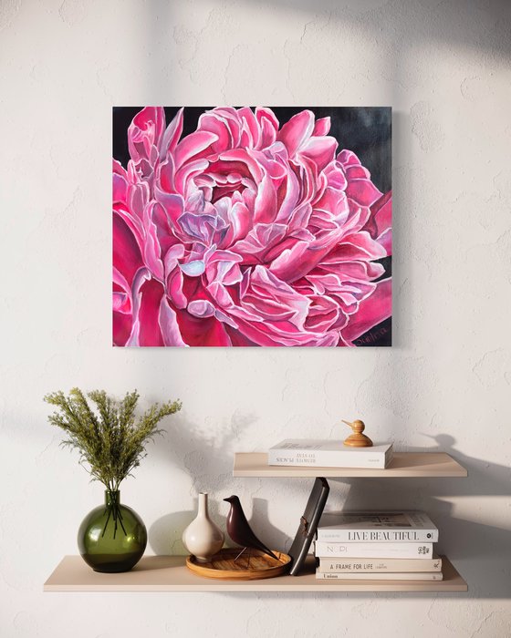 Burgundy Rose