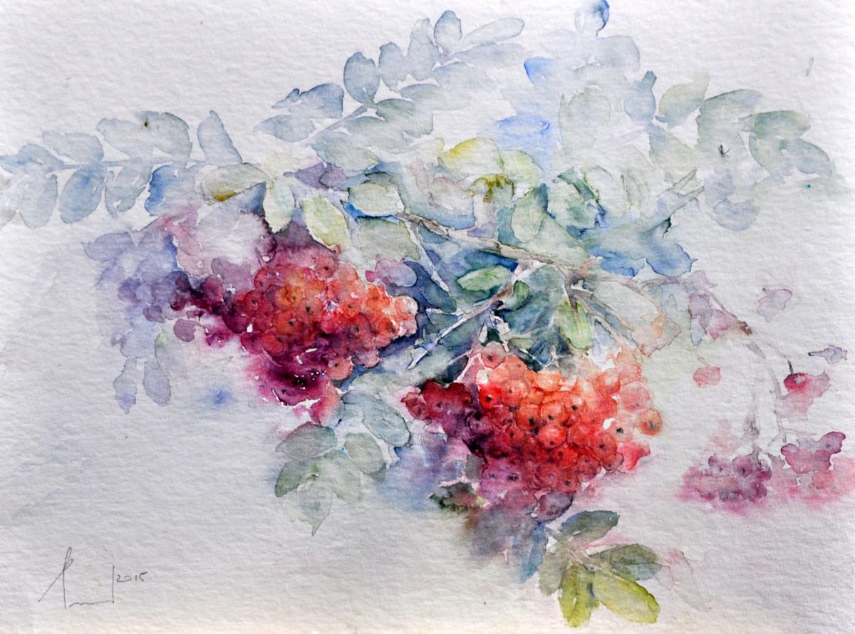 ROWAN original watercolour 32x24 by Beata van Wijngaarden