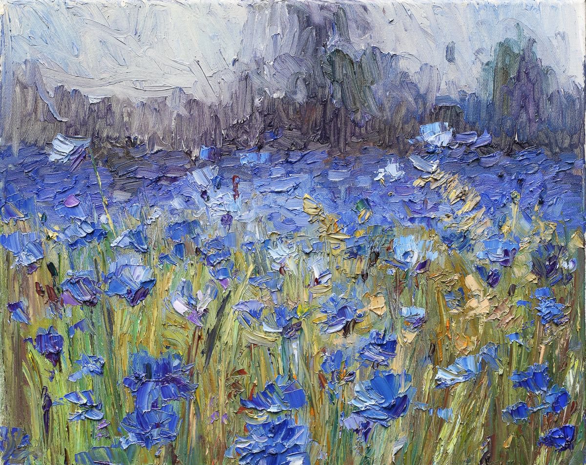 Blue field by Daria Mamonova