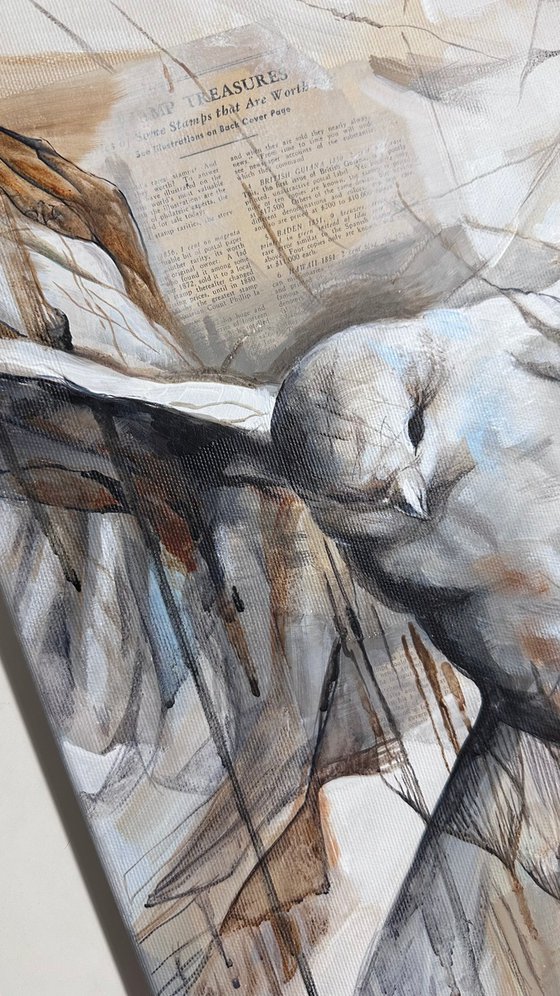 White Beige Blue Pigeon Abstract Bird
