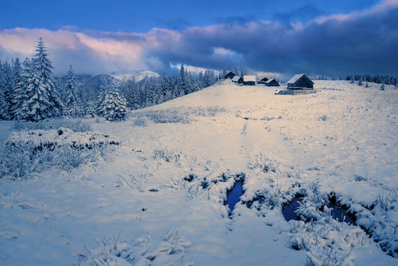 Winter on the summer pasture.