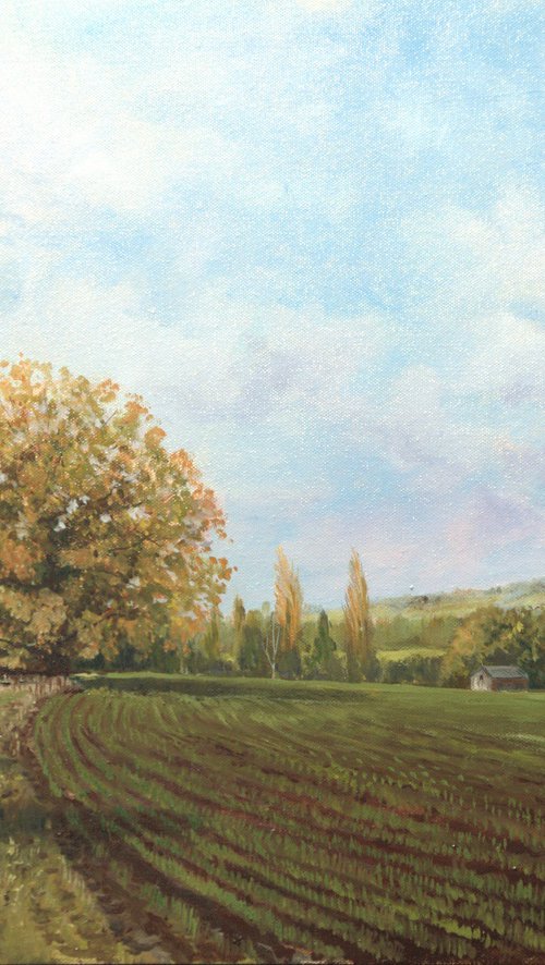Farnley Park - Early Autumn by Jonathan Smith