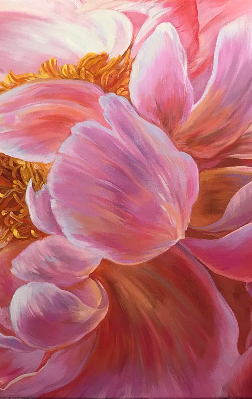Petals of peonies by Elena