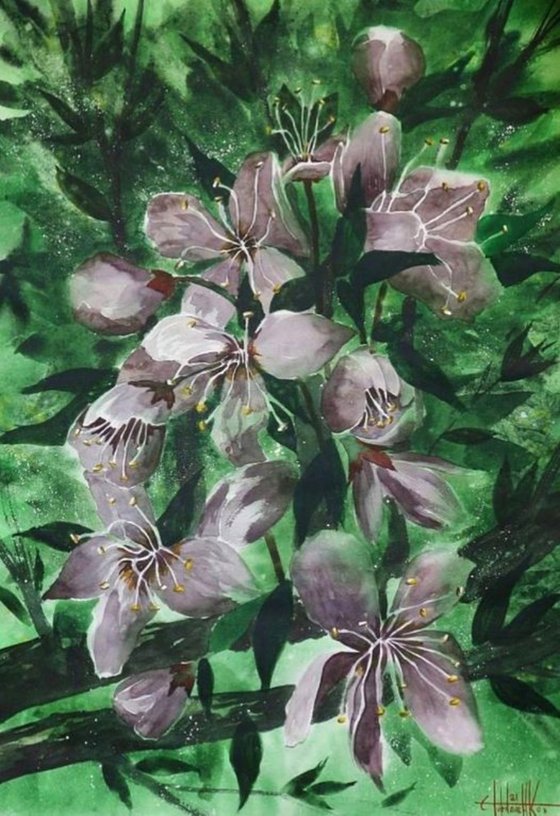 "Wild plum flowers"2021 Watercolor on paper 60x42