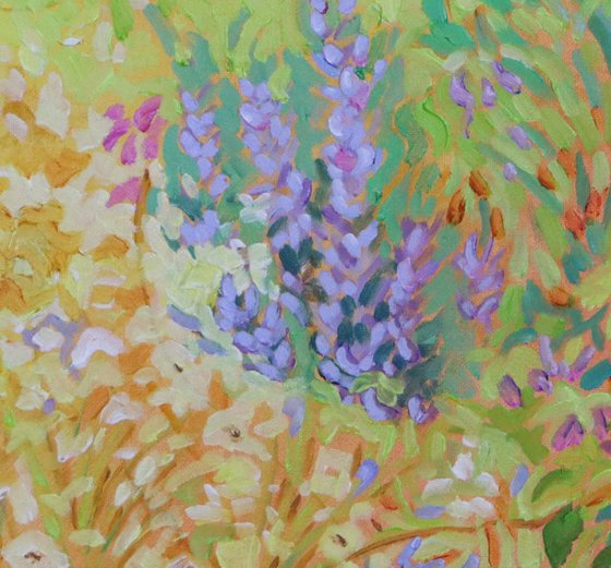 Lazy Summers Afternoon