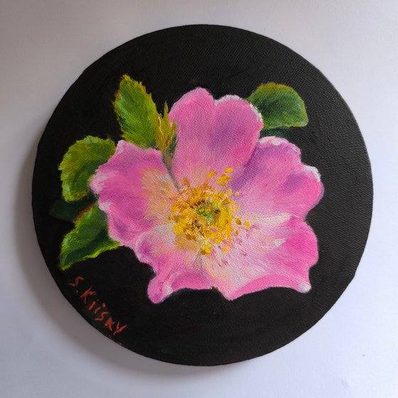 Wild Rose (Rosehip)
