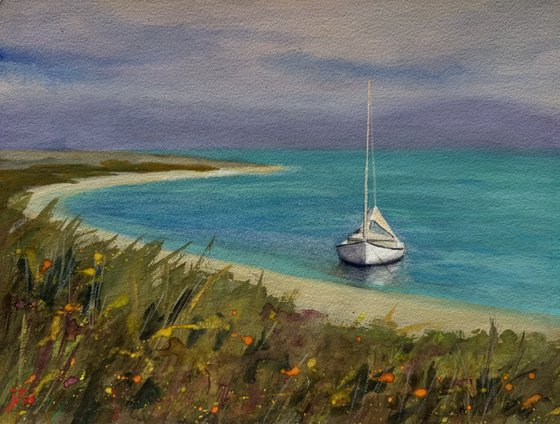 NZ lone boat