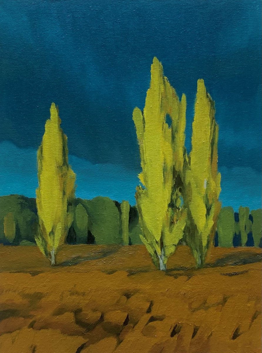 Impressionistic Landscape Oil Painting By Bohdan Vykhrenko, 12 X 16, Autumn Sunset, Original Artwork