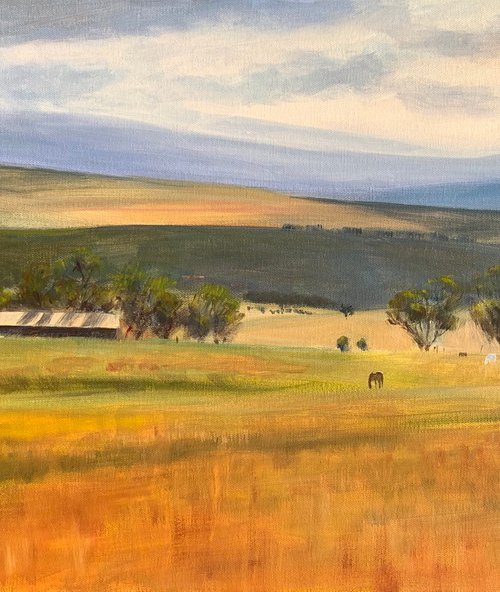 Bathurst country by Shelly Du
