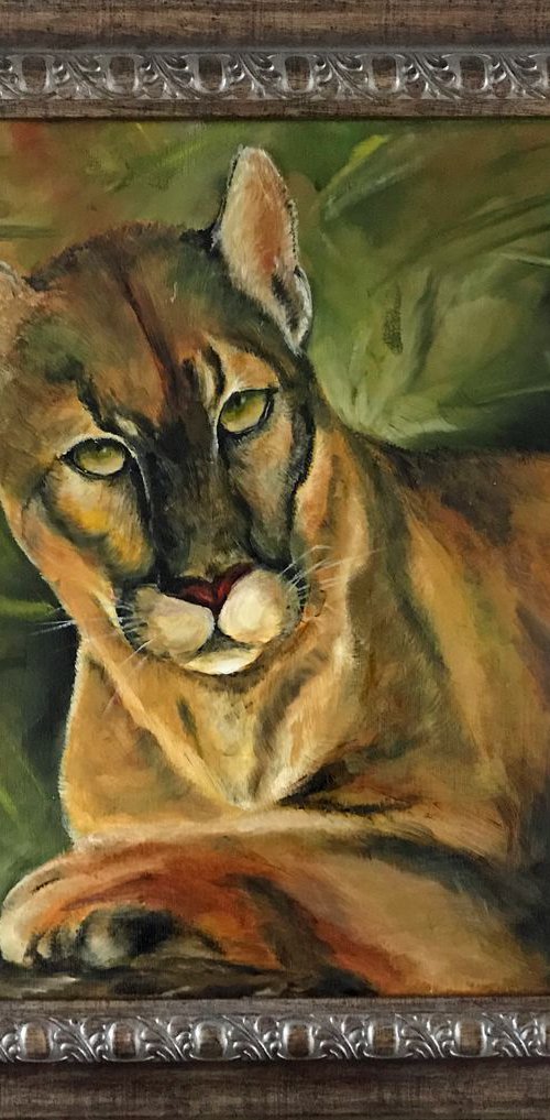 Puma Original Oil  Painting on a canvas Fully Framed 16x 20 by Mary Gullette
