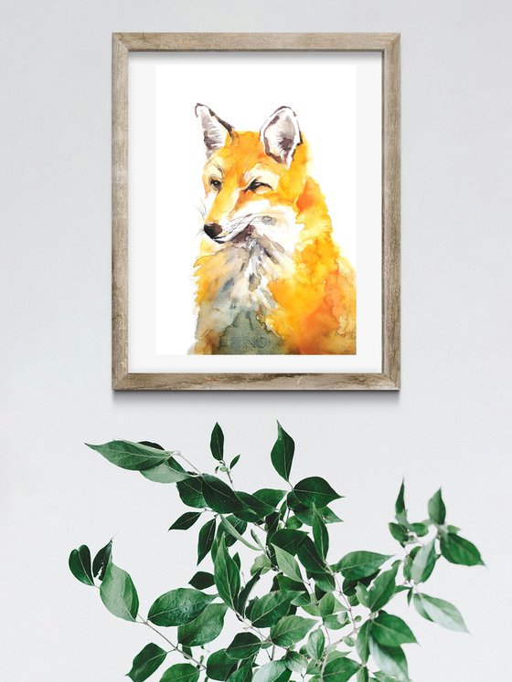 Red fox watercolor illustration