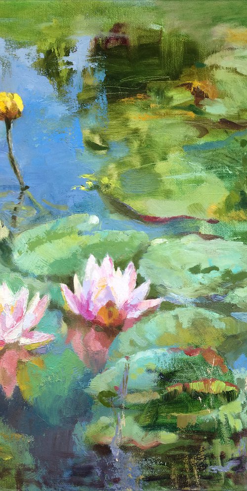 Water lilies by Svitlana Druzhko