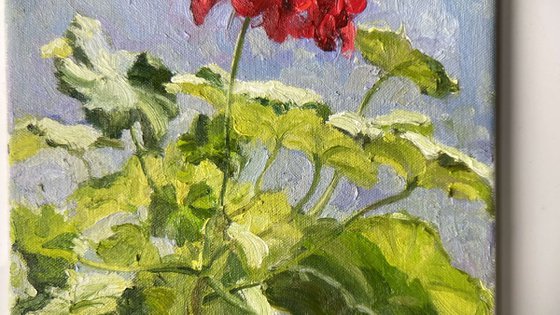 Morning flower