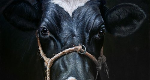 Artwork by Mayrig Simonjan